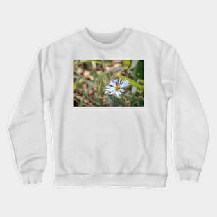 Flower Fly by Debra Martz Crewneck Sweatshirt